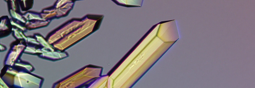 protein crystals