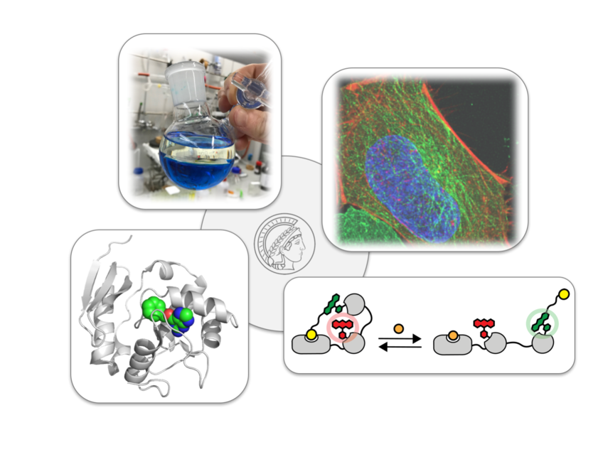 Department of Chemical Biology