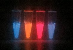 Nach Zugabe verschiedener Fluophore ändert sich die Farbigkeit des Systems.