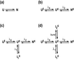 Protein folding of α/β -fold protein UMP-Kinase - off pathway intermediates influence folding kinetics
© Jochen Reinstein