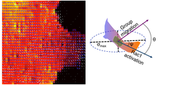 Monolayer stress microscopy (left) and Rac1-activation imaging reveal that cell movements, Rac1 activation, and principal stress are mutually aligned (right). Das 2015