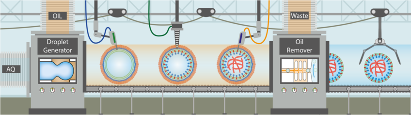 Zelluläre Biotechnologie Zelluläre Biotechnologie