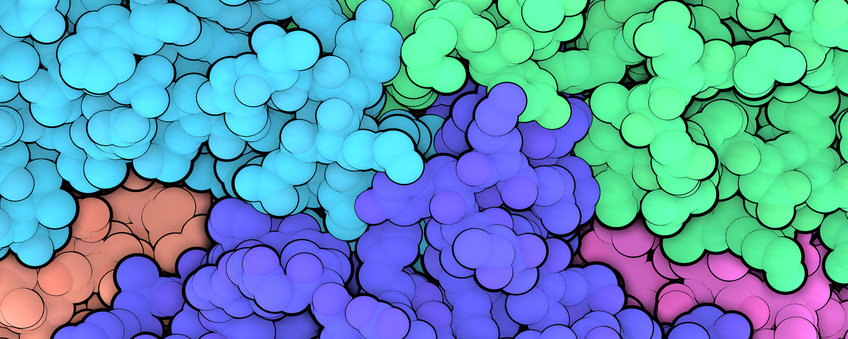 Proteinexpression und -charakterisierung