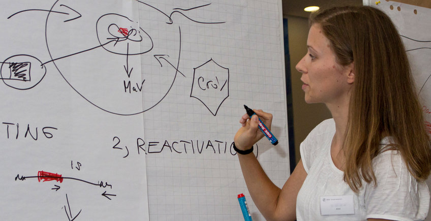 PhD Programs PhD Programs