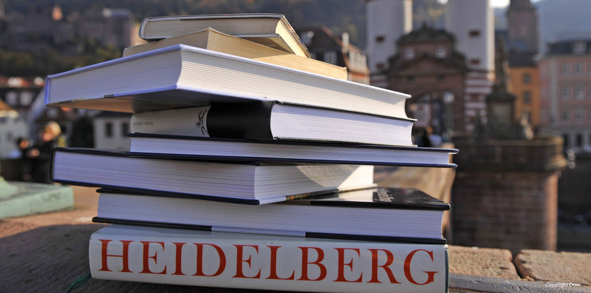Graduiertenschulen in Heidelberg
