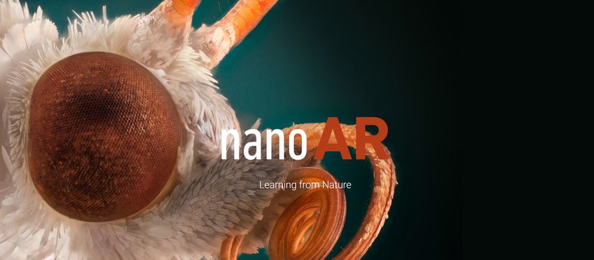 Technical Applications of Biomimetic Nanostructures - nanoAR Technical Applications of Biomimetic Nanostructures - nanoAR