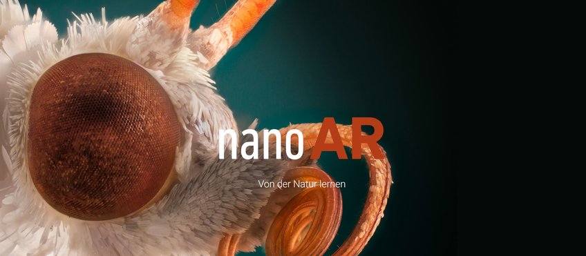 Technische Anwendungen Biomimetischer Nanostrukturierungen - nanoAR Technische Anwendungen Biomimetischer Nanostrukturierungen - nanoAR
