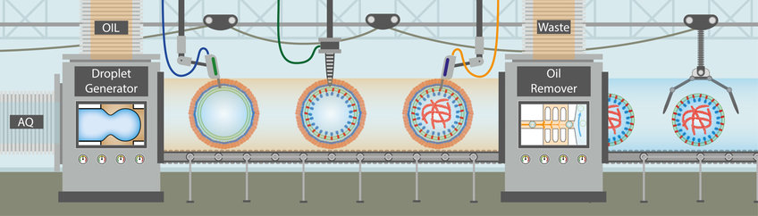 Construction of Cells