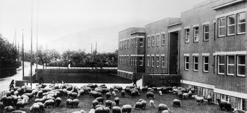 Geschichte des Instituts Geschichte des Instituts