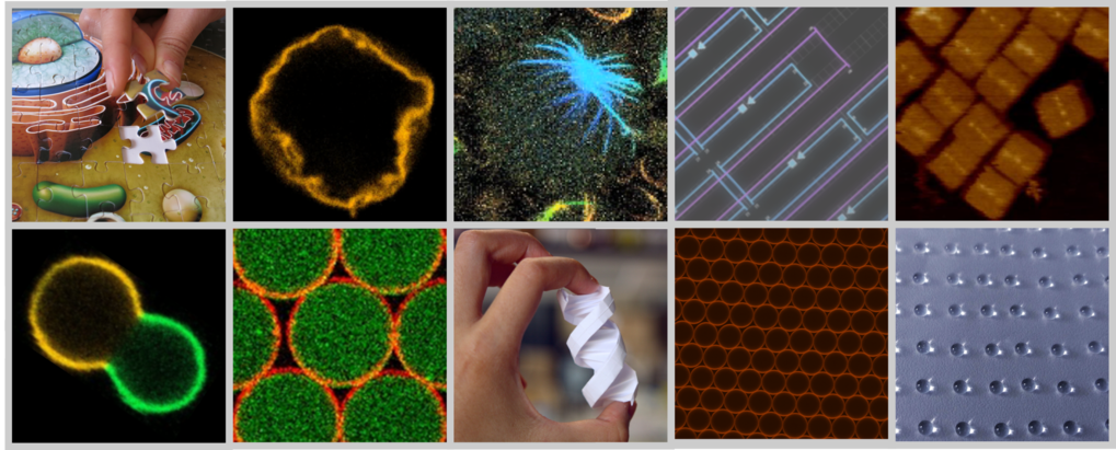 Biophysical Engineering of Life Biophysical Engineering of Life