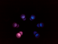 Change of color of the emitted light from blue to red upon the sensor binding to NAD+