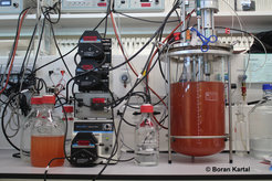 Einer der Bioreaktoren, mit denen Kartal und sein Team die untersuchten Bakterien im Labor wachsen ließen