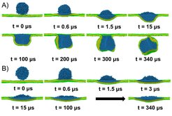 Simulation snapshots of single A) hard and B) soft nanogels at lipid membranes at different simulation times.