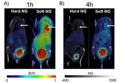In vivo profiles of different radiolabeled nanogels. A) PET/CT images of radiolabeled NGs injected in vivo at 1h and B) 4h post injection (p.i.) showing an increased circulation of soft NGs. SUV: Standardised uptake value, HU: Hounsfield units.