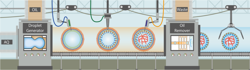 Fig 1. Schematic representation of a modular engineering approach for the sequential bottom-up assembly of cellular systems by means of an automated, high-throughput, droplet-based microfluidic technology. 
