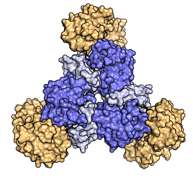 STePLADDER: Solving The Pathway of LADDERane biosynthesis STePLADDER: Solving The Pathway of LADDERane biosynthesis