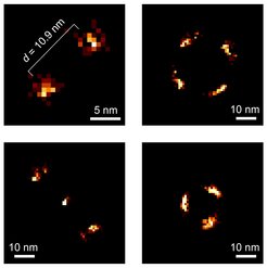 Mit einem Beugungsminimum in der Beleuchtung können erstmals gleichzeitig emittierende, identische Fluorophore auf der Nanoskala, das heißt weit unterhalb der Beugungsgrenze, aufgelöst werden. Oben links werden zwei Moleküle im Abstand von ca. 11 Nanometern getrennt, was hier 1/58 der verwendeten Lichtwellenlänge entspricht.