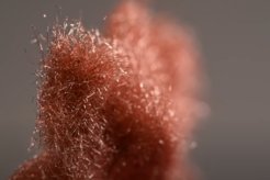 Nahaufnahme eine Vlieses aus Kupferfäden, das im Vordergrund scharf abgebildet ist und nach hinten unscharf wird.