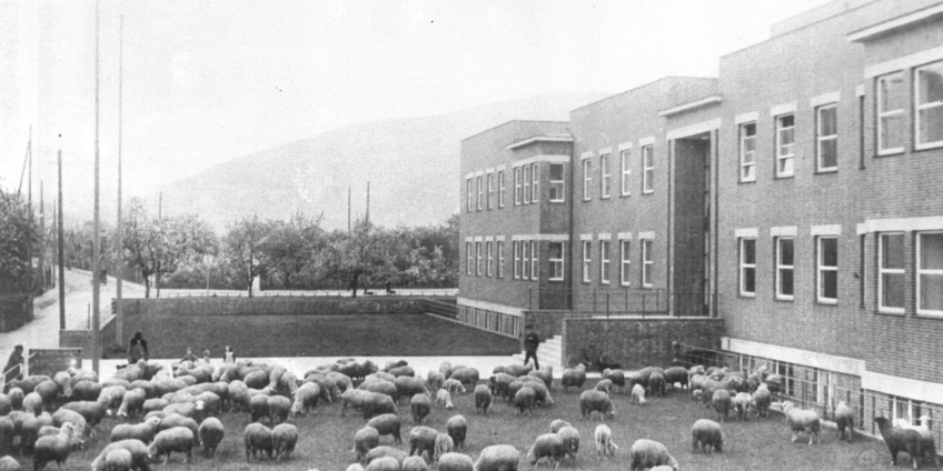 Max Planck Institute for Medical Research Schwarz-weiß Bild des Instituts von außen aus den 1930gern.