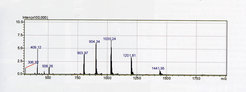 ESI spectrum of a recombinant intersectin SH3 domain-containing protein (Yvonne Grömping Group, Dep. of Biomolecular Mechanisms). The protein exhibits multiple peaks, with charges from +5 to +9 and thus a range of mass/charge (m/z) values. The experimentally determined mass of the intact protein is 7204.6 Da, which is in good agreement with the calculated average mass of 7205.4 Da.