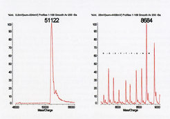 Maldi TOF analysis of a partially purified recombinant protein yielded the expected m/z value (left) and a number of lower m/z contaminants (right). Peptide ladder analysis generated the sequence shown (in one letter code), identifying the contaminants as breakdown products of the full-lenght protein.