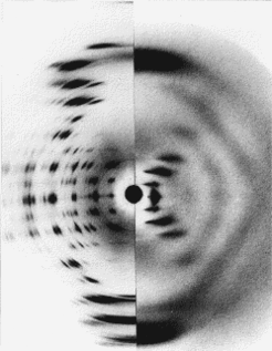 Fig h1: Diffraction from the A and B forms of DNA