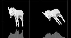 To test the theory, we took a donkey as a trial object. This object is demanding in a number of respects. It has no symmetry, It has sharp graduations of density. It has long legs! For first trial the projected density was calculated every 3º between 0 and 180º (the symmetry of the projection precludes the addition of any new information in the second half circle). Projections at 0º and 30º are shown in Fig 4.